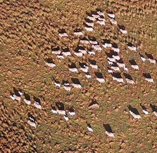 Aerial photography, drone photography by Fission Digital