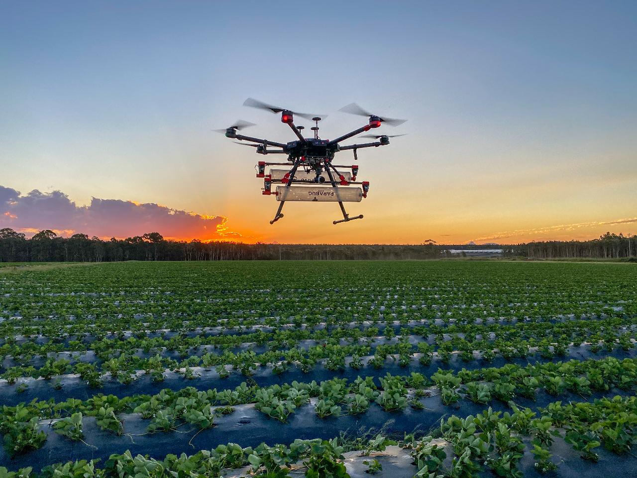 Aerial photography, drone photography by Parabug Australia