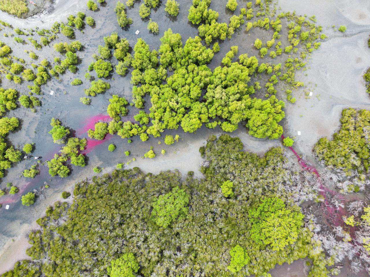 Aerial photography, drone photography by Rafael Photography