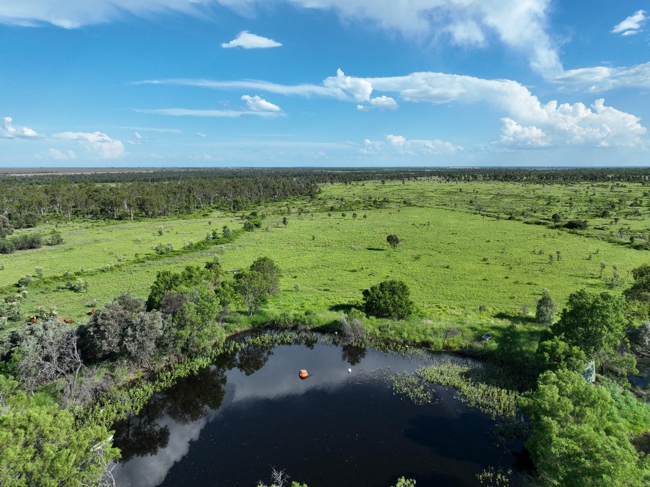 Aerial photography, drone photography by Charlie