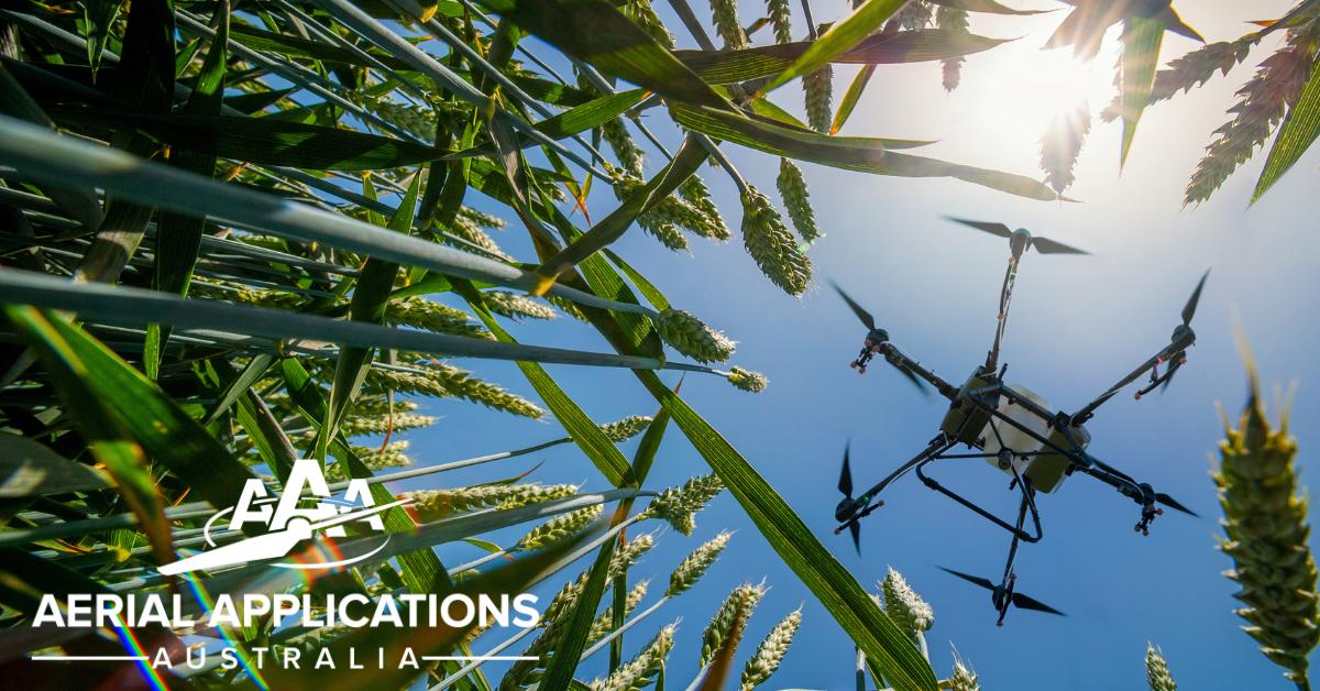 Aerial photography, drone photography by Aerial Applications Australia Pty Ltd.