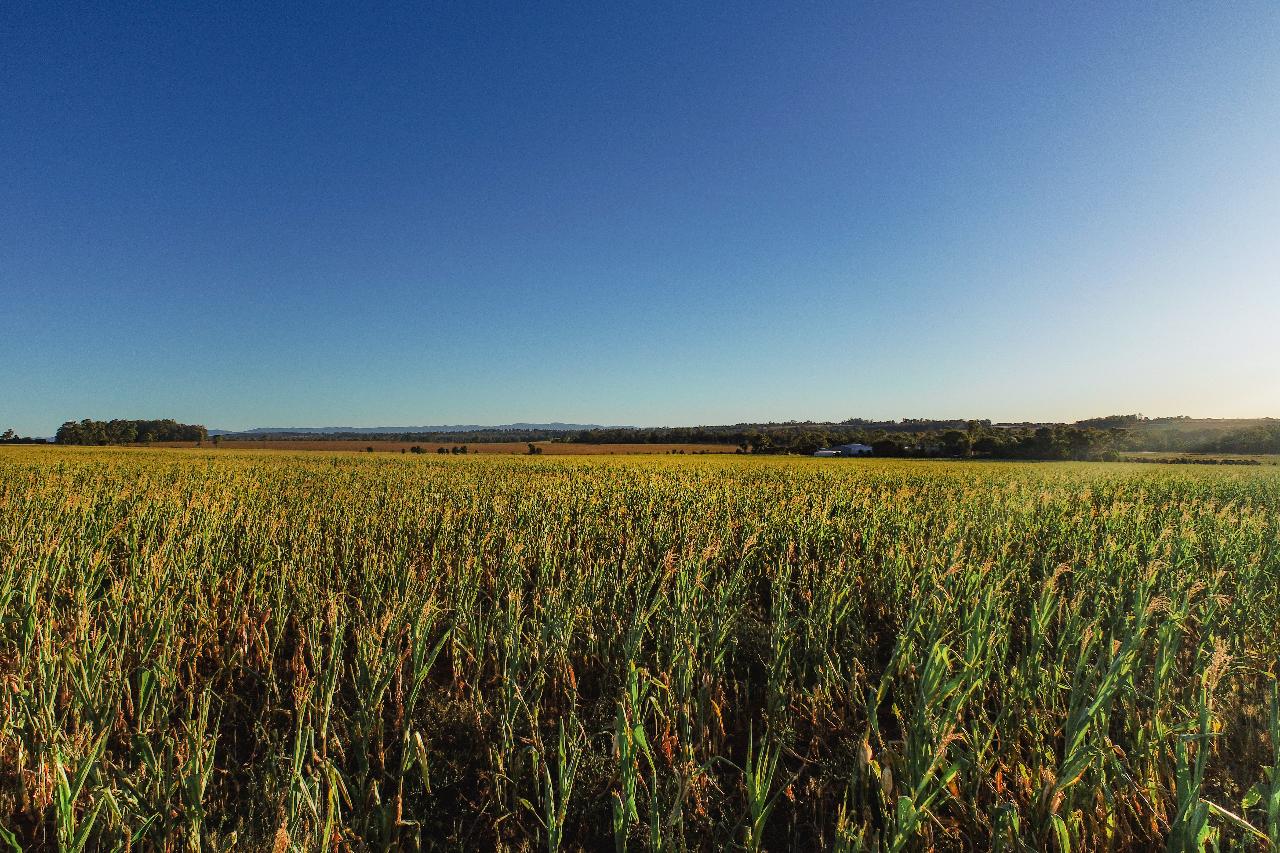 Aerial photography, drone photography by Aerial Applications Australia Pty Ltd.