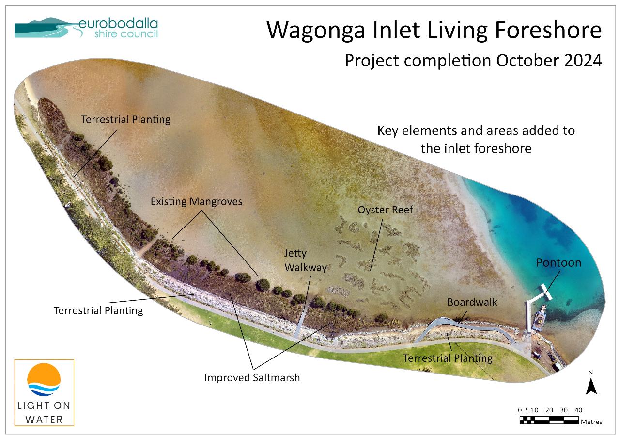 Wagonga Inlet Living Shoreline