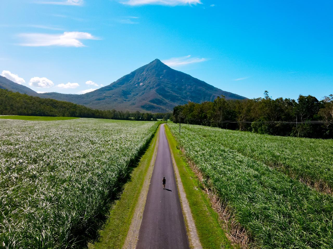 Aerial photography, drone photography by Theresa Graham Photography