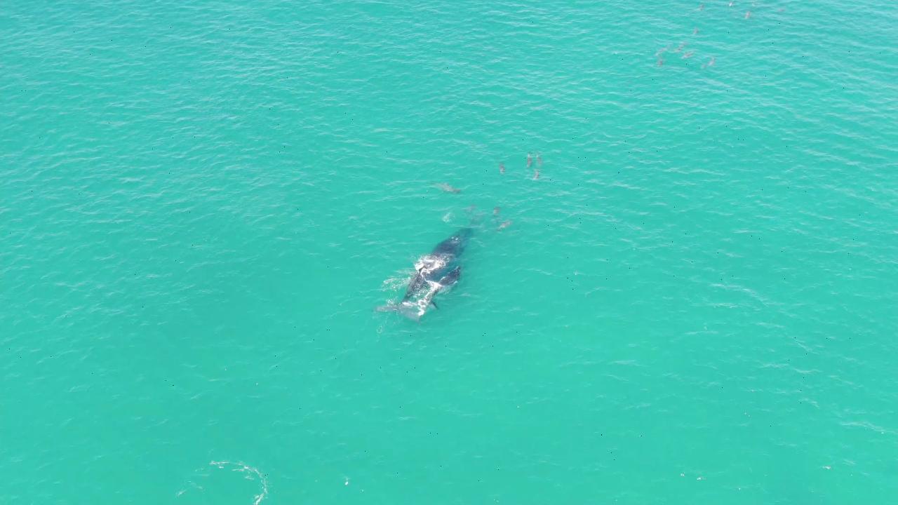 Aerial photography, drone photography by Bright Sky Drones