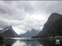 Wild Hive Drones Pty Ltd