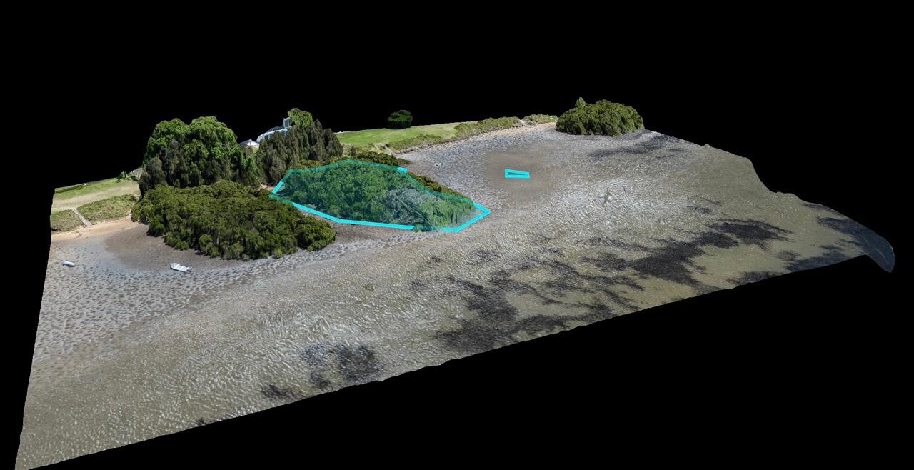 Mangrove/Salt Marsh Mapping 