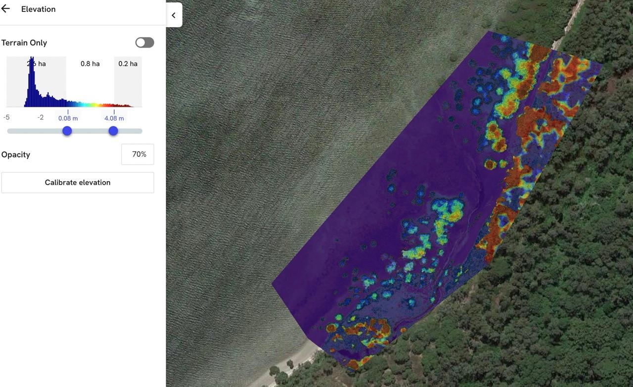 Mangrove/Salt Marsh Mapping 