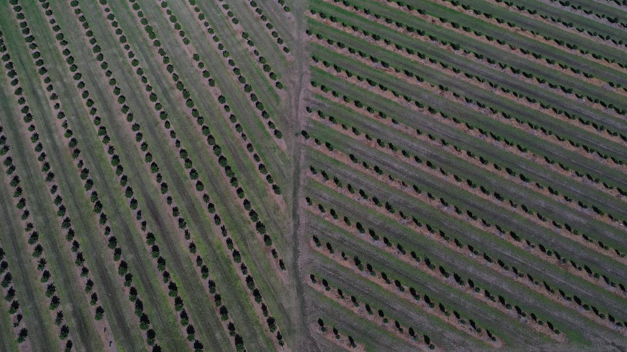 Aerial photography, drone photography by Drone Ops Australia