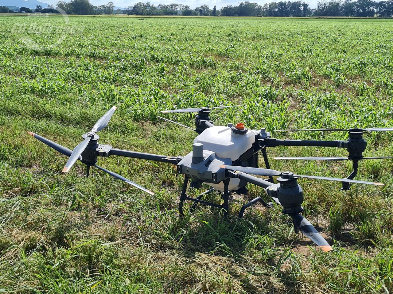 Aerial photography, drone photography by Cq AgDrones