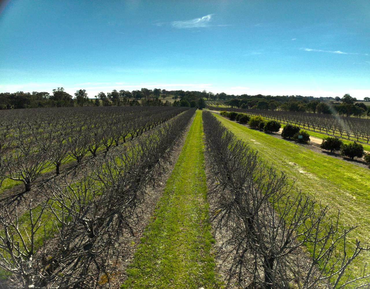 Aerial photography, drone photography by A&S Murdoch Drone Services