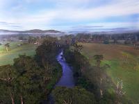 Flying Fox Aerial Imagery