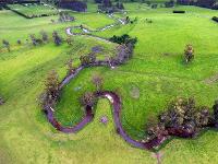 Flying Fox Aerial Imagery