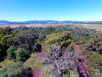 Flying Fox Aerial Imagery