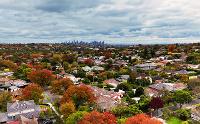 Flying Fox Aerial Imagery