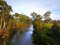 Flying Fox Aerial Imagery