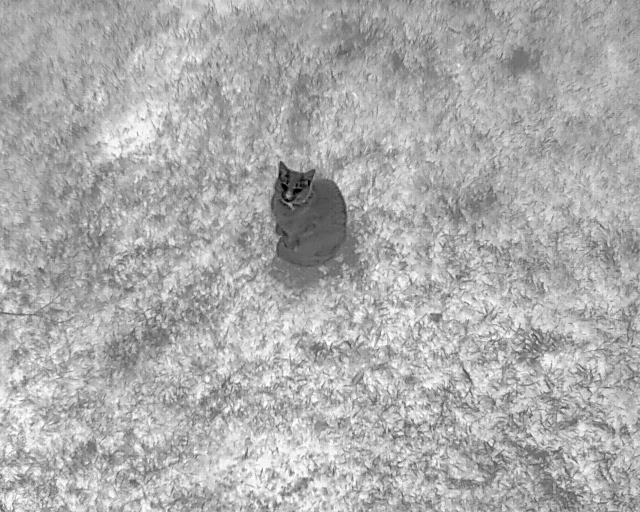 Aerial photography, drone photography by THOMAS UAV