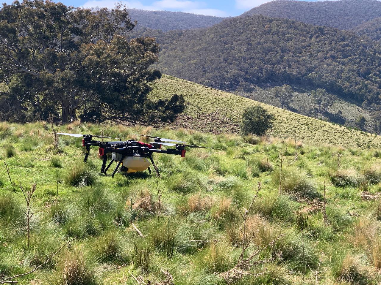 Aerial photography, drone photography by Data Sense Technology
