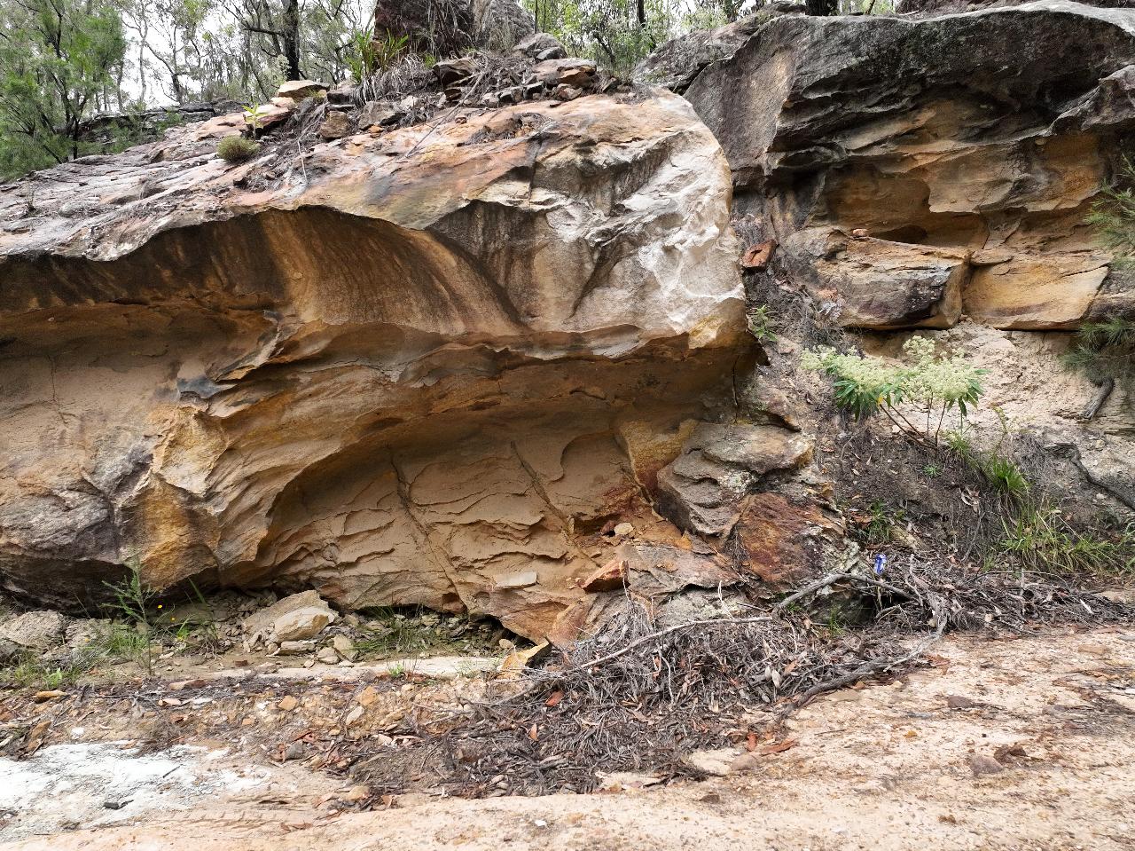 Aerial photography, drone photography by Skynet Authority