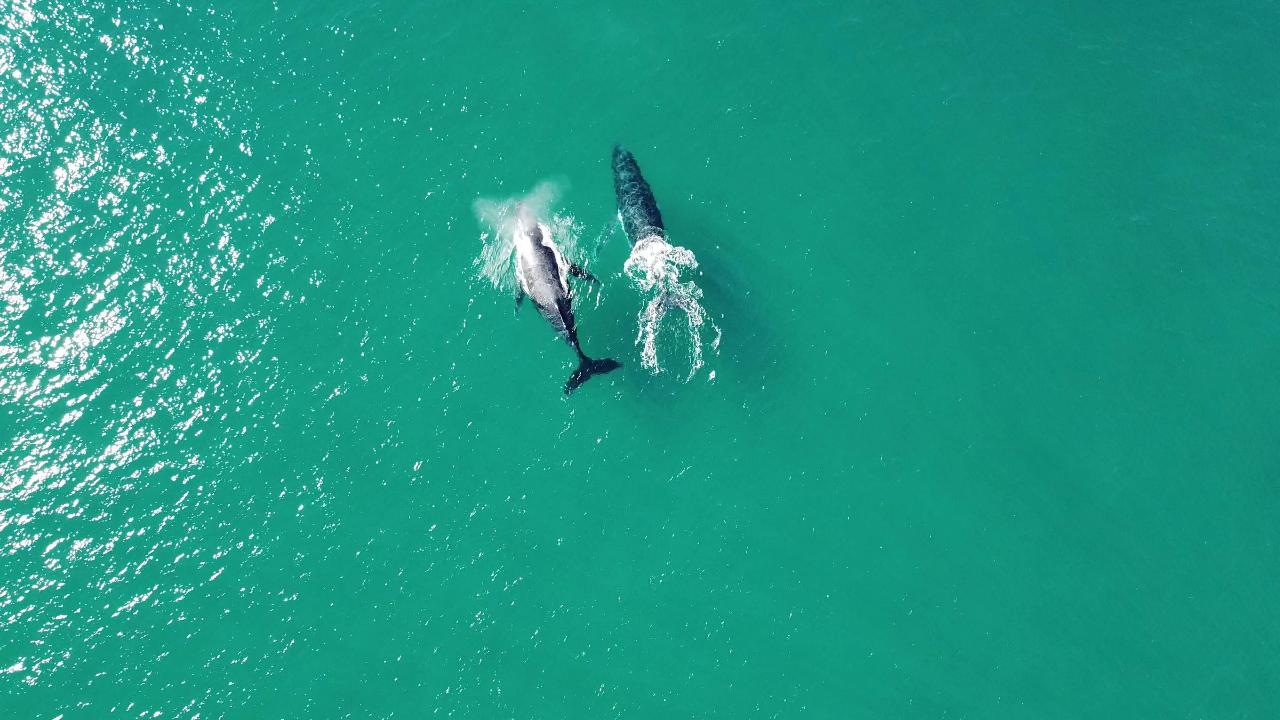 Aerial photography, drone photography by Gokulraj