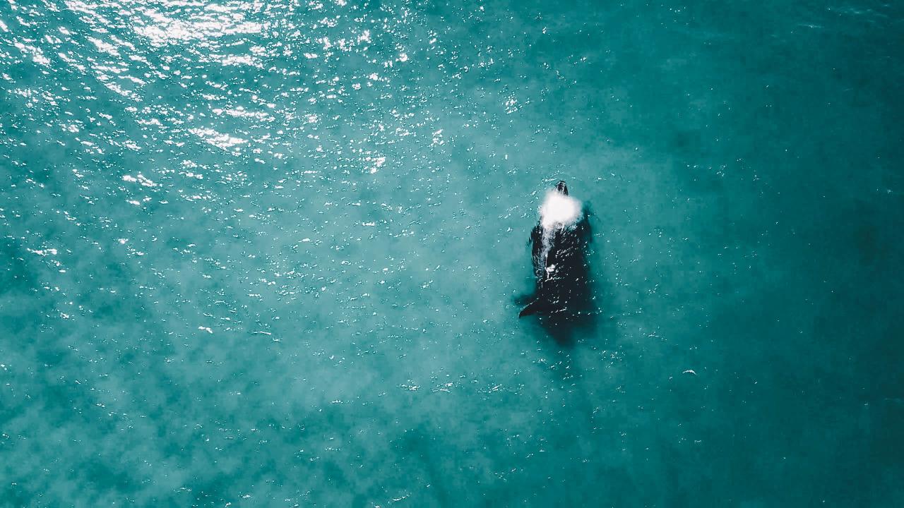 Aerial photography, drone photography by Gokulraj