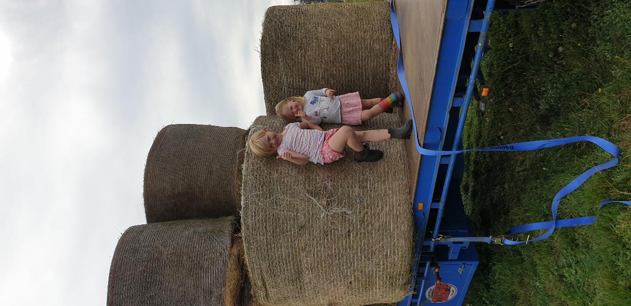 Aerial photography, drone photography by Alpine Drone Worx