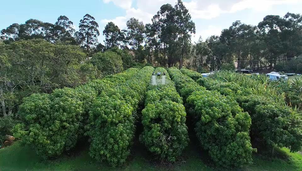 Aerial photography, drone photography by ROTAQUIP - Autonomous Agriculture