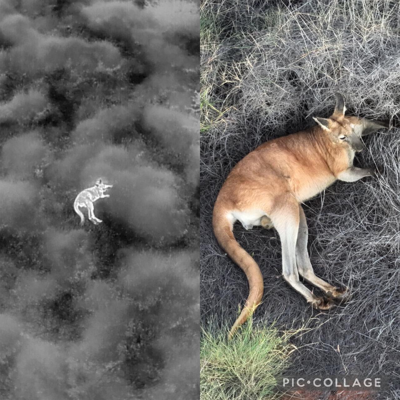 Aerial photography, drone photography by Altispec Drones 