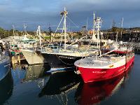 Seaside Drone Services