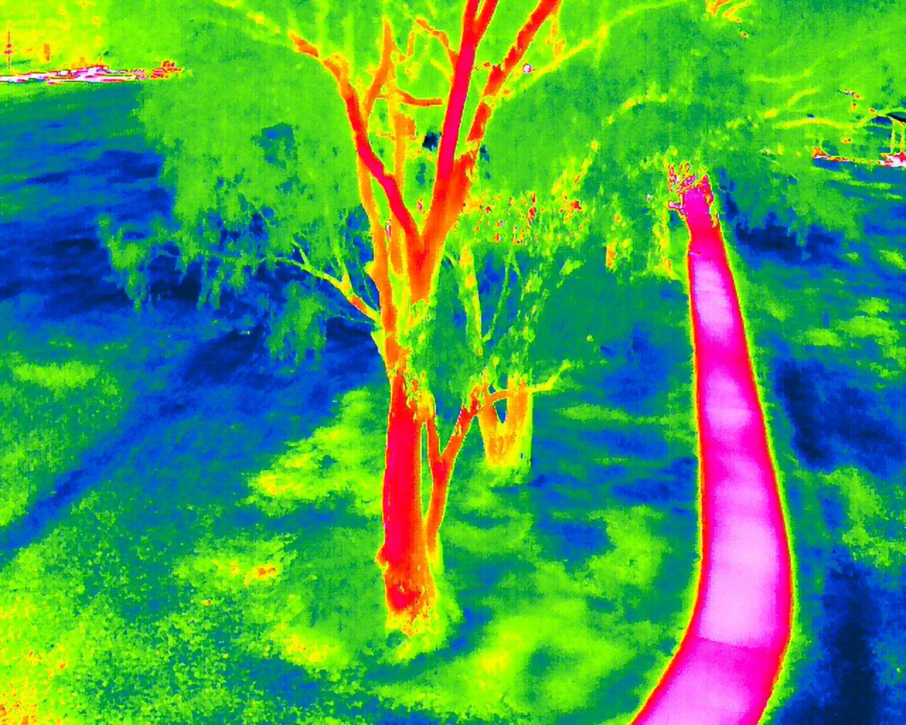 Aerial photography, drone photography by Eco Duck