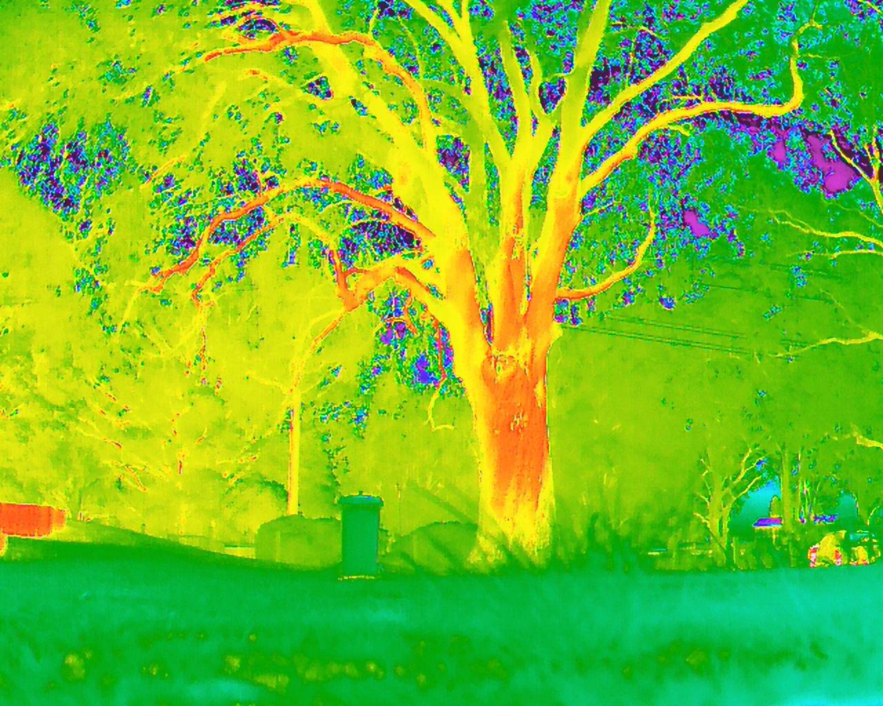 Aerial photography, drone photography by Eco Duck