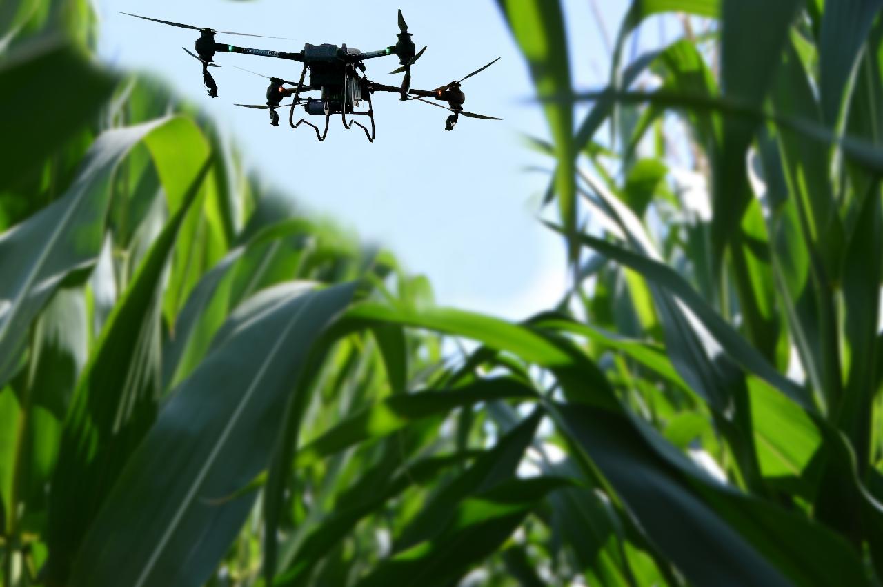 Aerial photography, drone photography by Webber And Chivell Drones