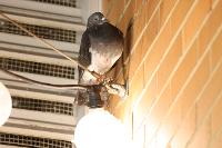 Public Safety Training and Response Group Pty Ltd