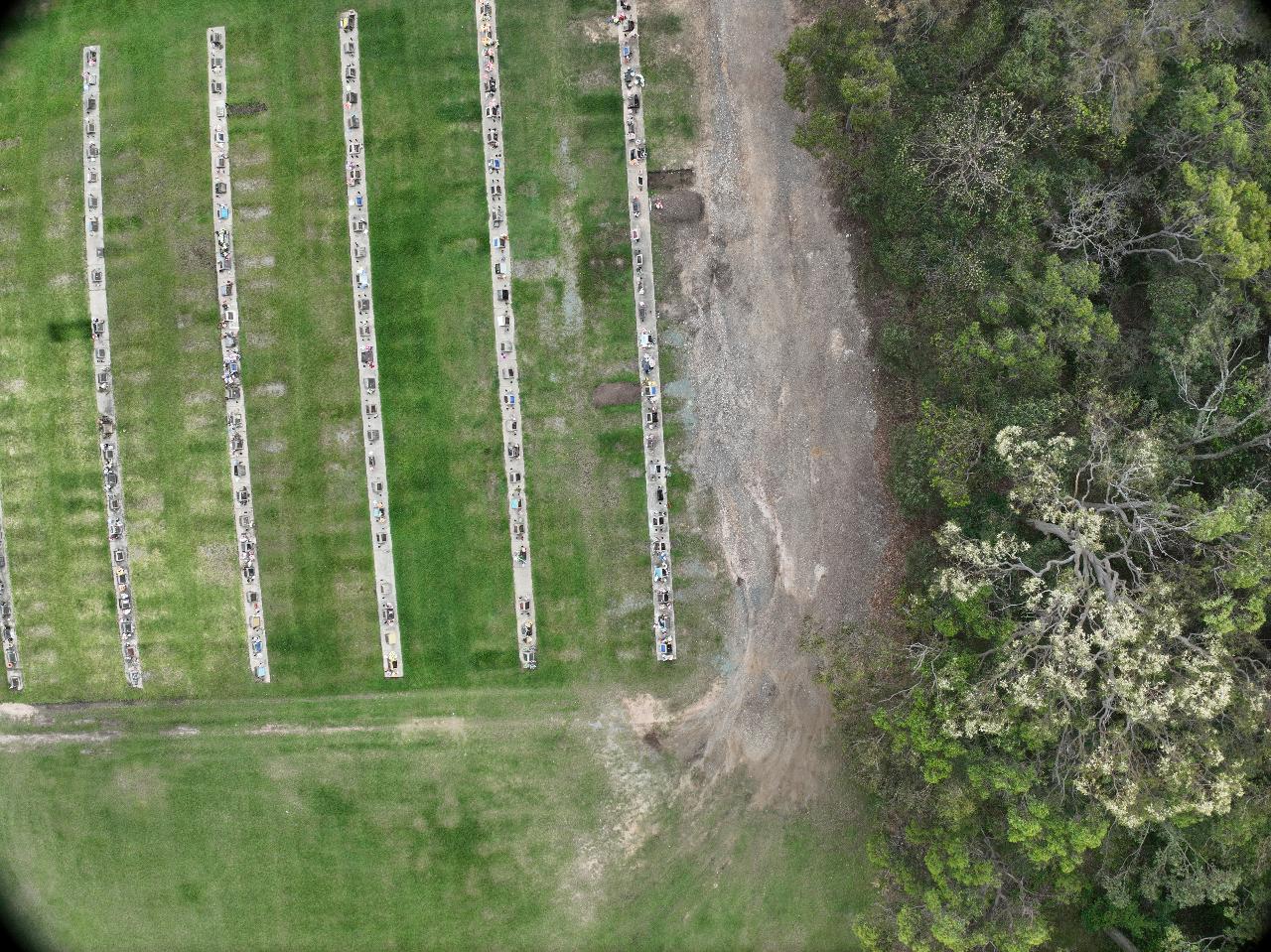 Cemetery Orthomosiacs