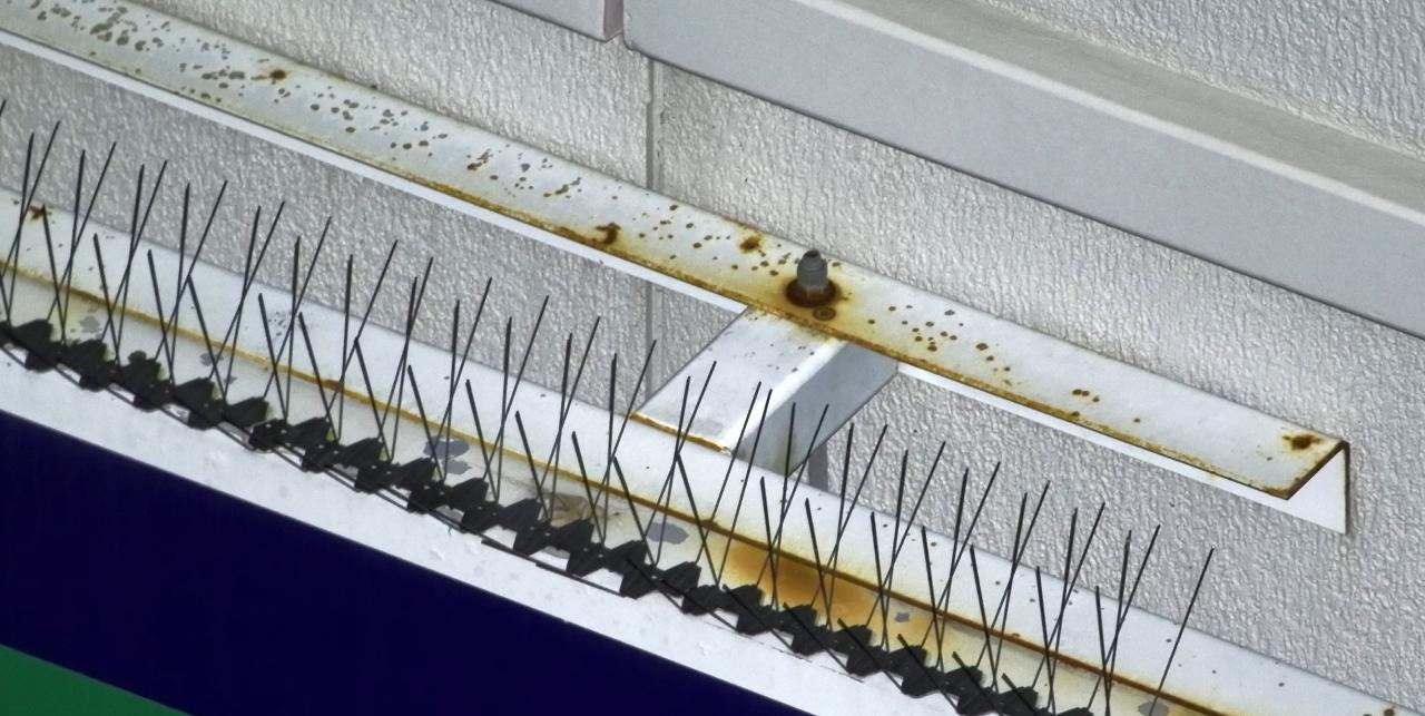 Pacific Fair Shopping Centre Signage Structural Assessment