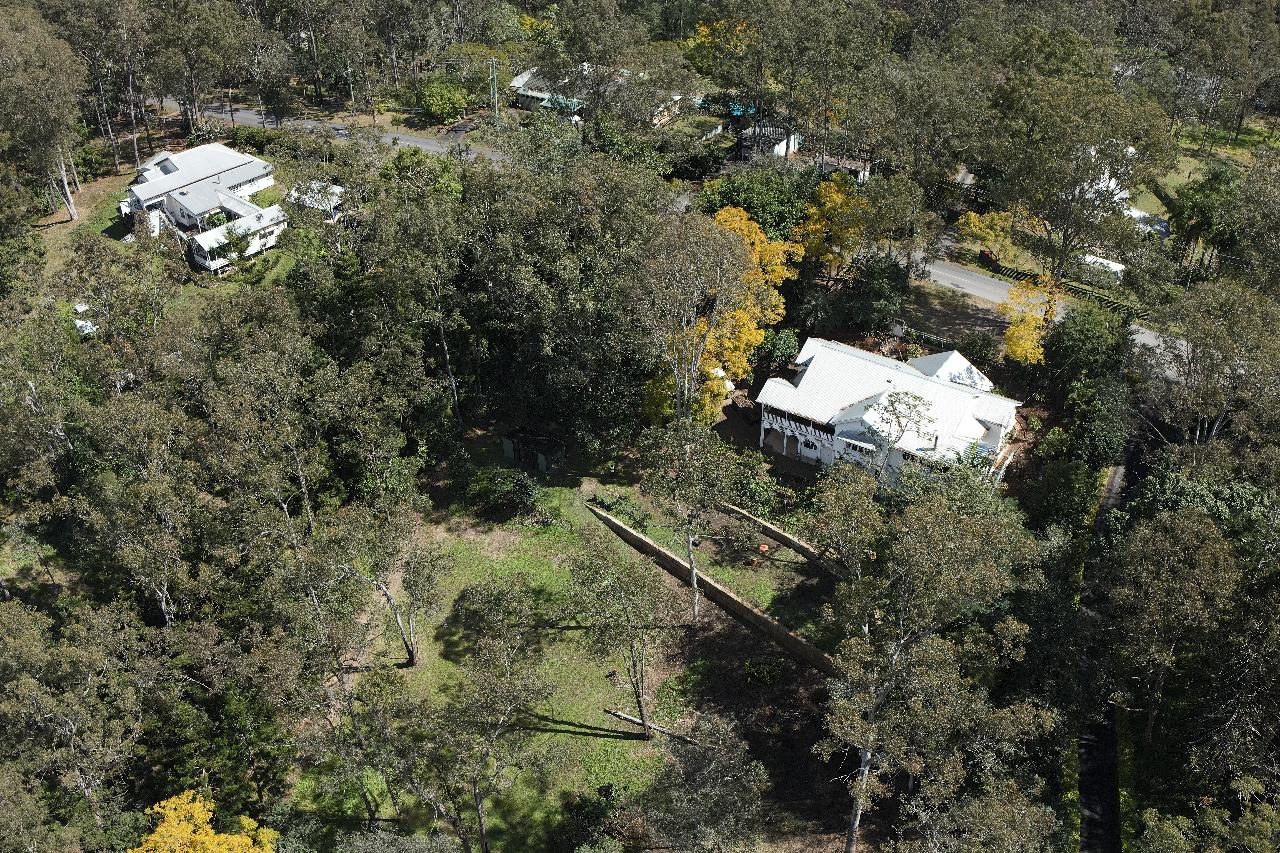 Backyard Rainforest Mapping