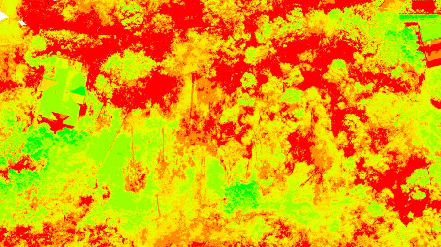 Backyard Rainforest Mapping