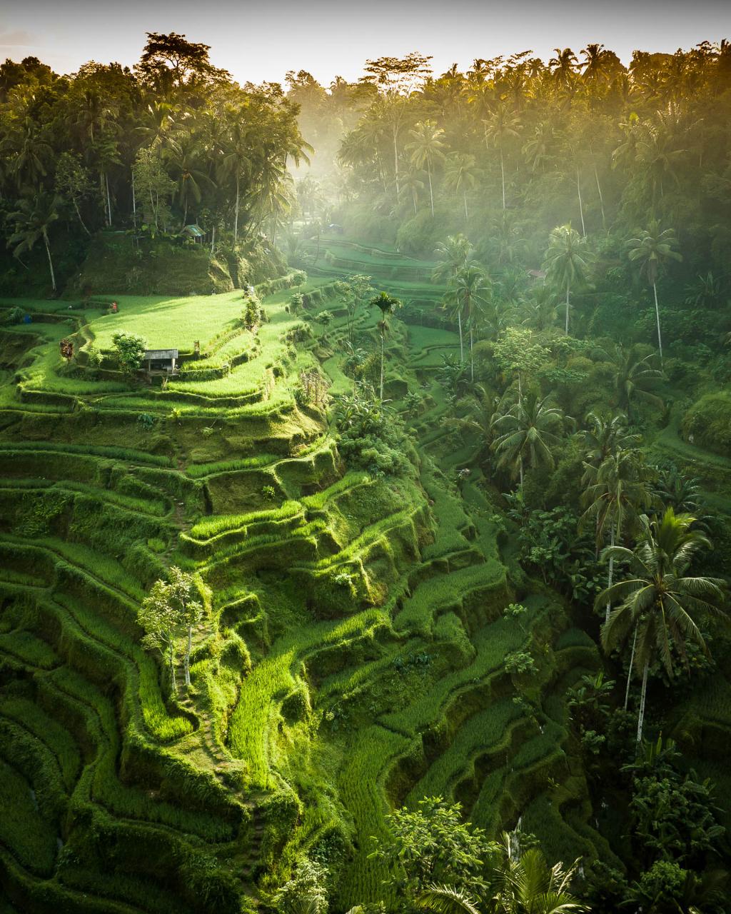 Aerial photography, drone photography by Tail Winds Aerial Media