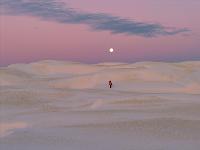 Drone Visual Solutions