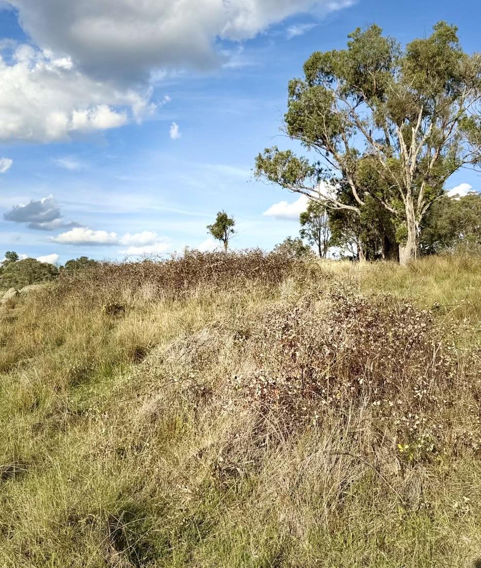 Aerial photography, drone photography by Shillin Ag Drones