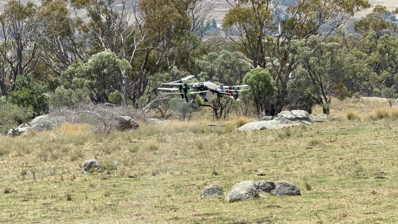 Aerial photography, drone photography by Shillin Ag Drones