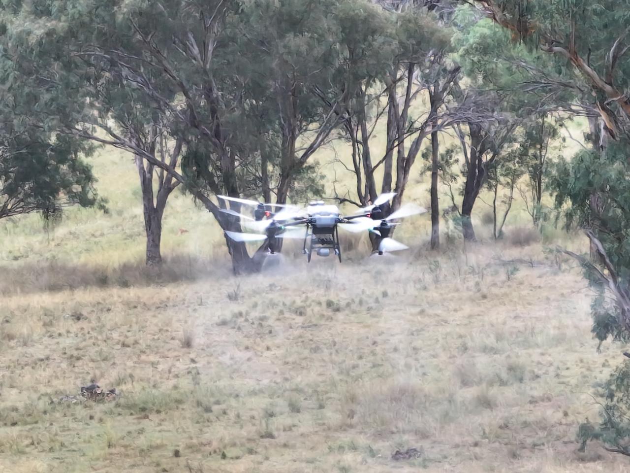 Aerial photography, drone photography by Shillin Ag Drones