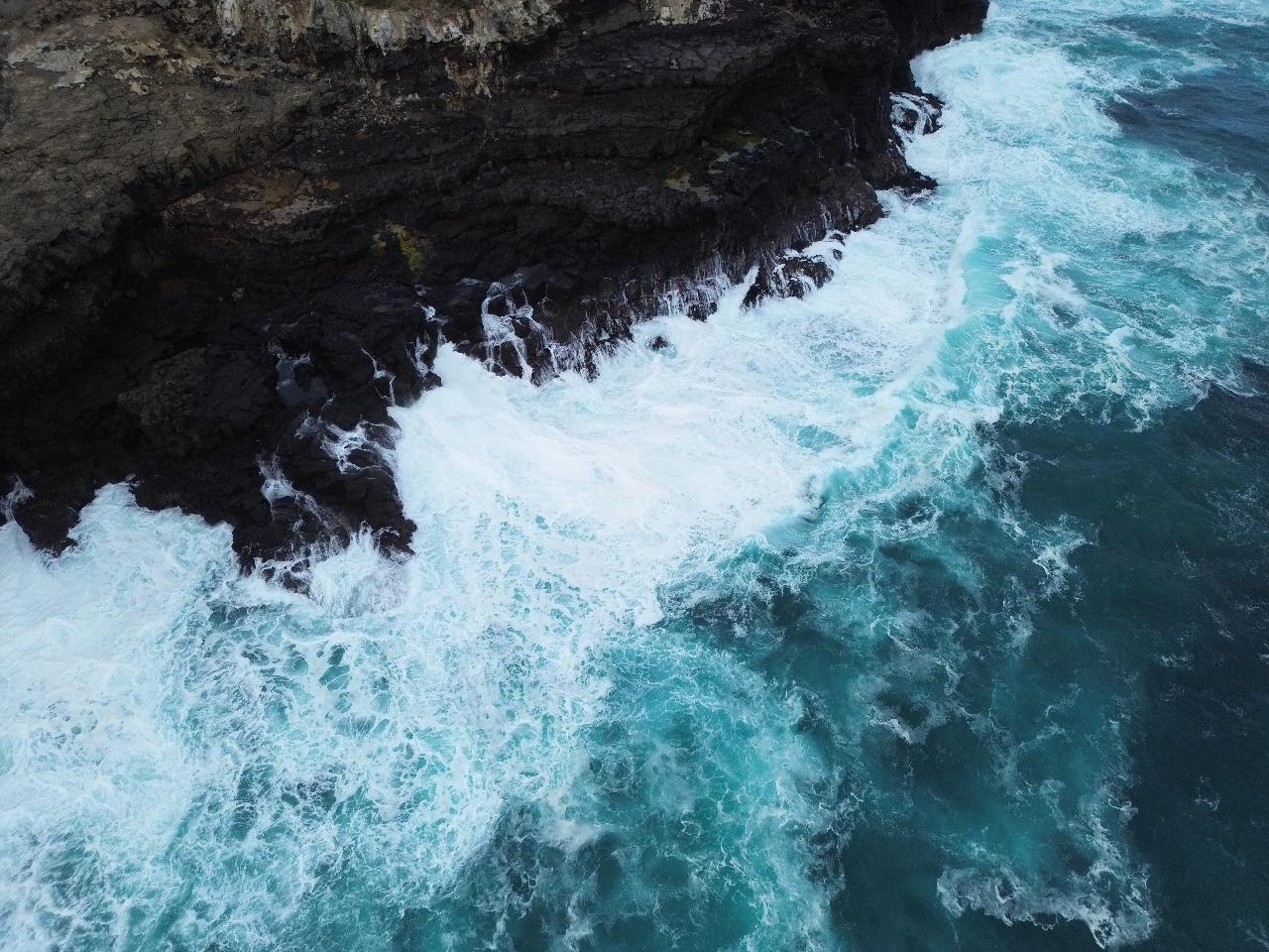 Shelton Field Services