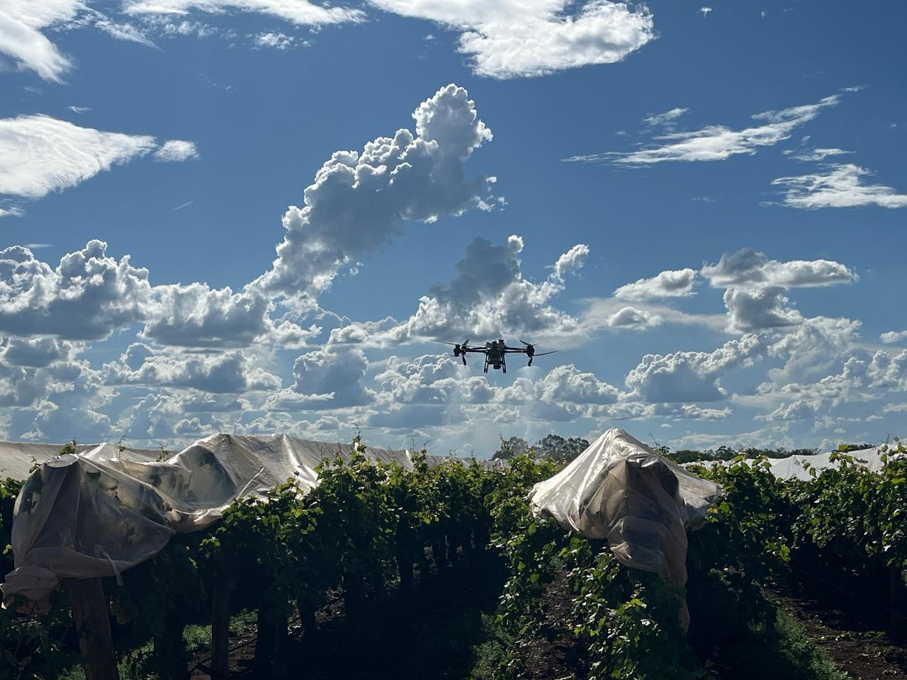 Aerial photography, drone photography by Australian Agricultural Drones