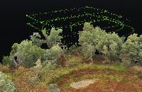 Flying Fox Drone Solutions