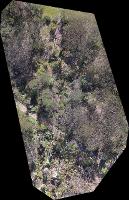 Flying Fox Drone Solutions