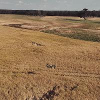 OzGuard Drone Services