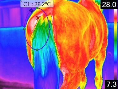 Aerial photography, drone photography by CIRTA Thermal Drone Services