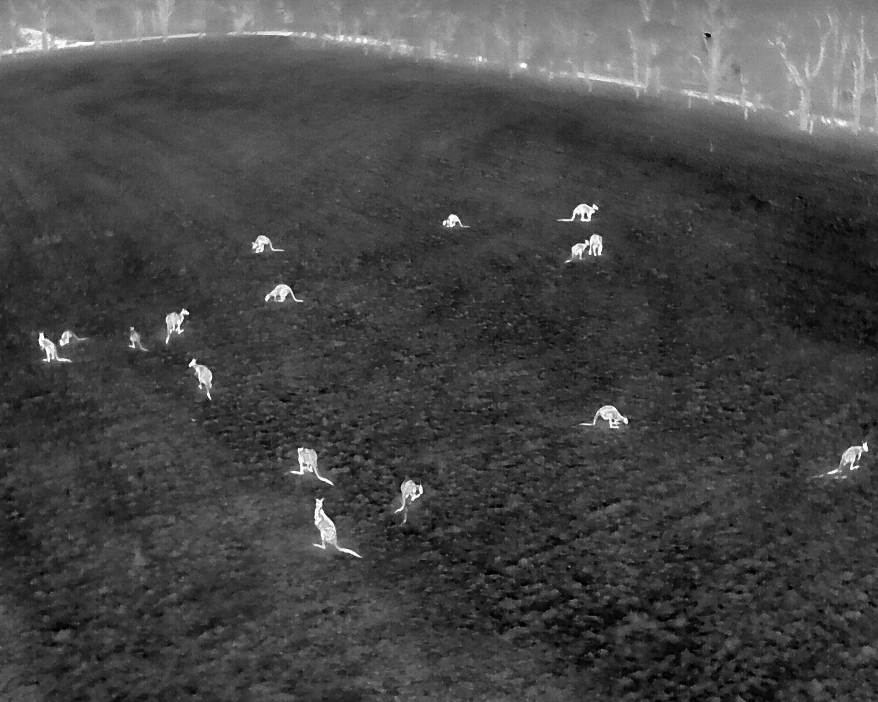 Aerial photography, drone photography by CIRTA Thermal Drone Services