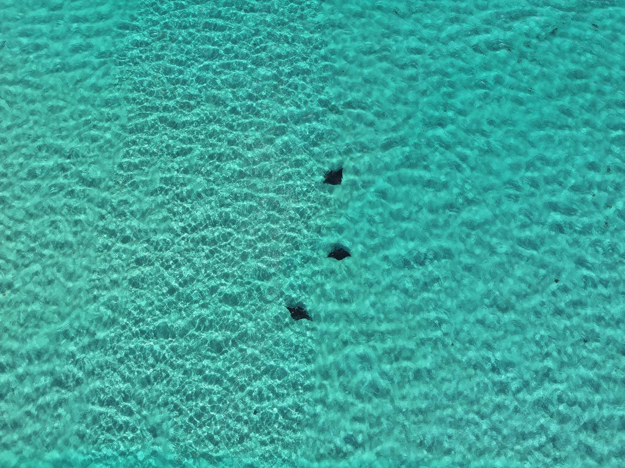 Aerial photography, drone photography by Aqua Aerial Solutions 